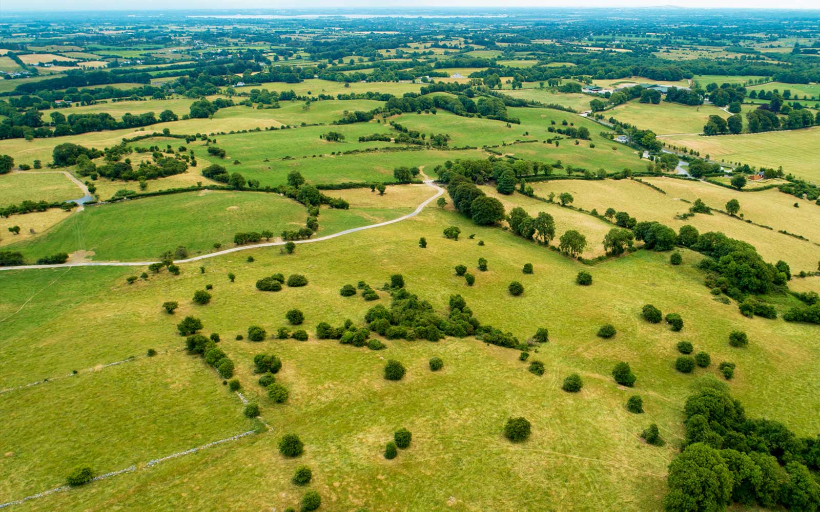 Ecology on the hill